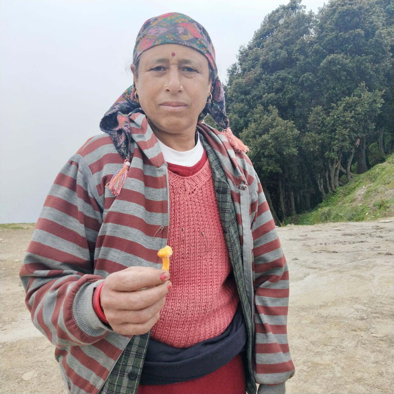 oure from land of Gods Himachal Pradesh oure from land of Gods Himachal Pradesh