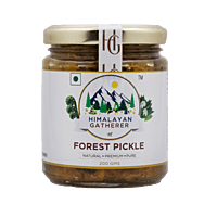 Forest Pickle Forest Pickle