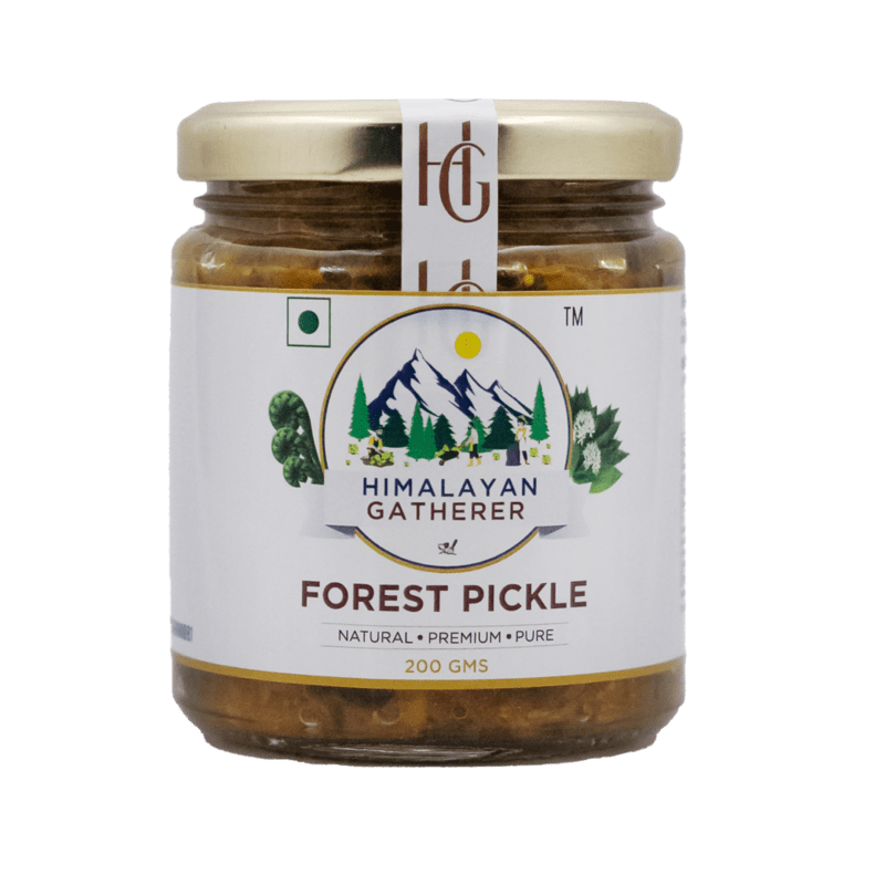 Forest Pickle Forest Pickle