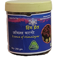 Amla Chutney Amla Chutney