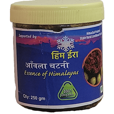 Amla Chutney