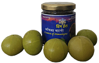 Amla Chutney Amla Chutney