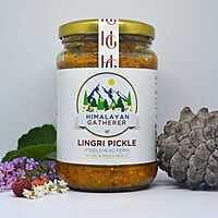 Fiddlehead Fern Pickle Fiddlehead Fern Pickle