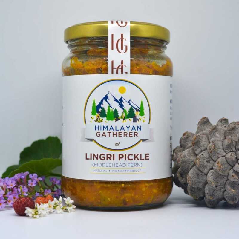 Fiddlehead Fern Pickle Fiddlehead Fern Pickle