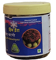 Amla Chutney Amla Chutney