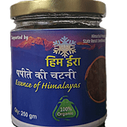 Papaya Chutney Papaya Chutney