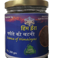 Papaya Chutney Papaya Chutney
