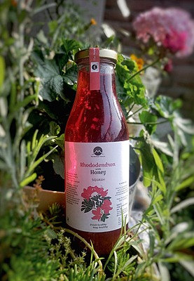 Rhododendron with Honey Squash