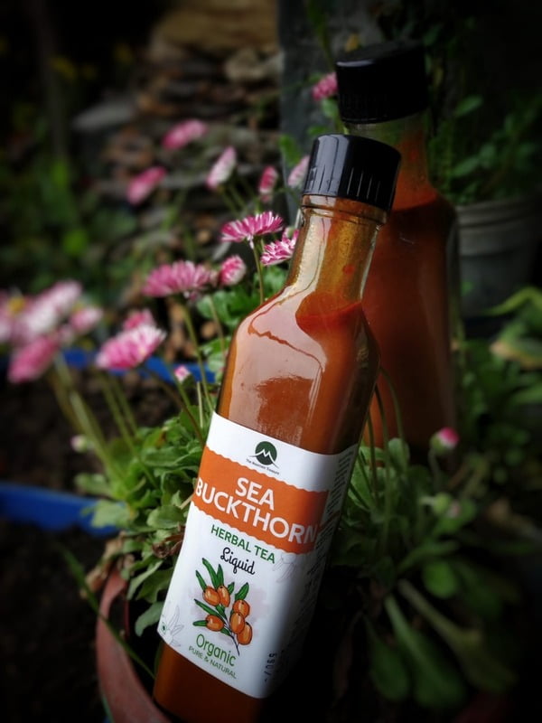 Sea Buckthorn Liquid Tea Sea Buckthorn Liquid Tea